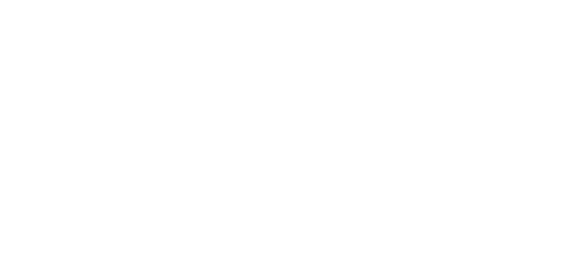 Logo Mary Import Blanc